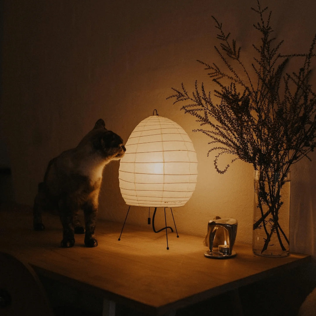 Akari 1N Table Lamp 7