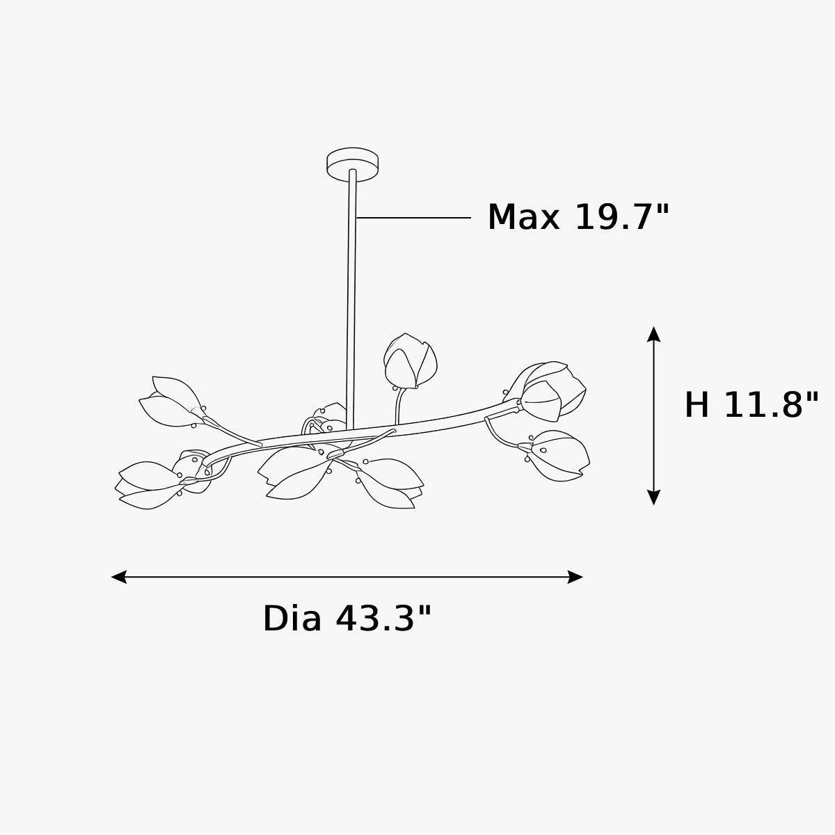 Dimensions