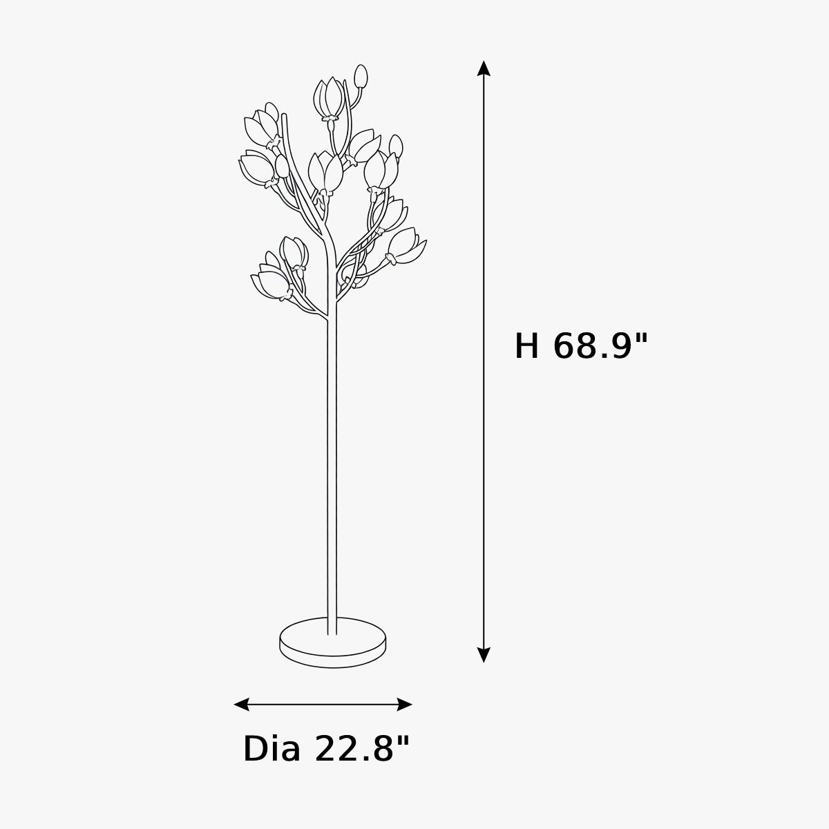 Dimensions
