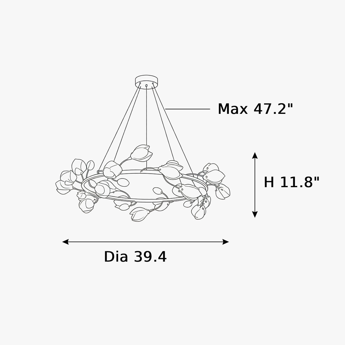 Dimensions
