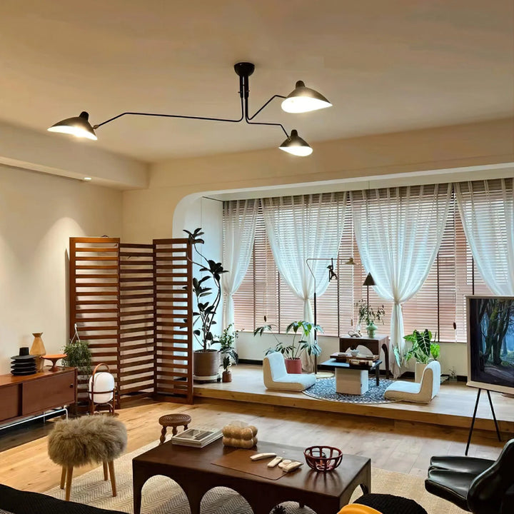 Axial Swing Arm Chandelier 14