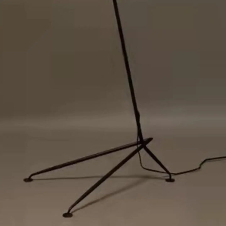 Axial Tripod Floor Lamp 6