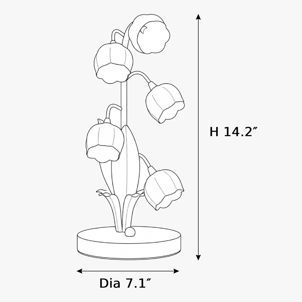 Dimensions