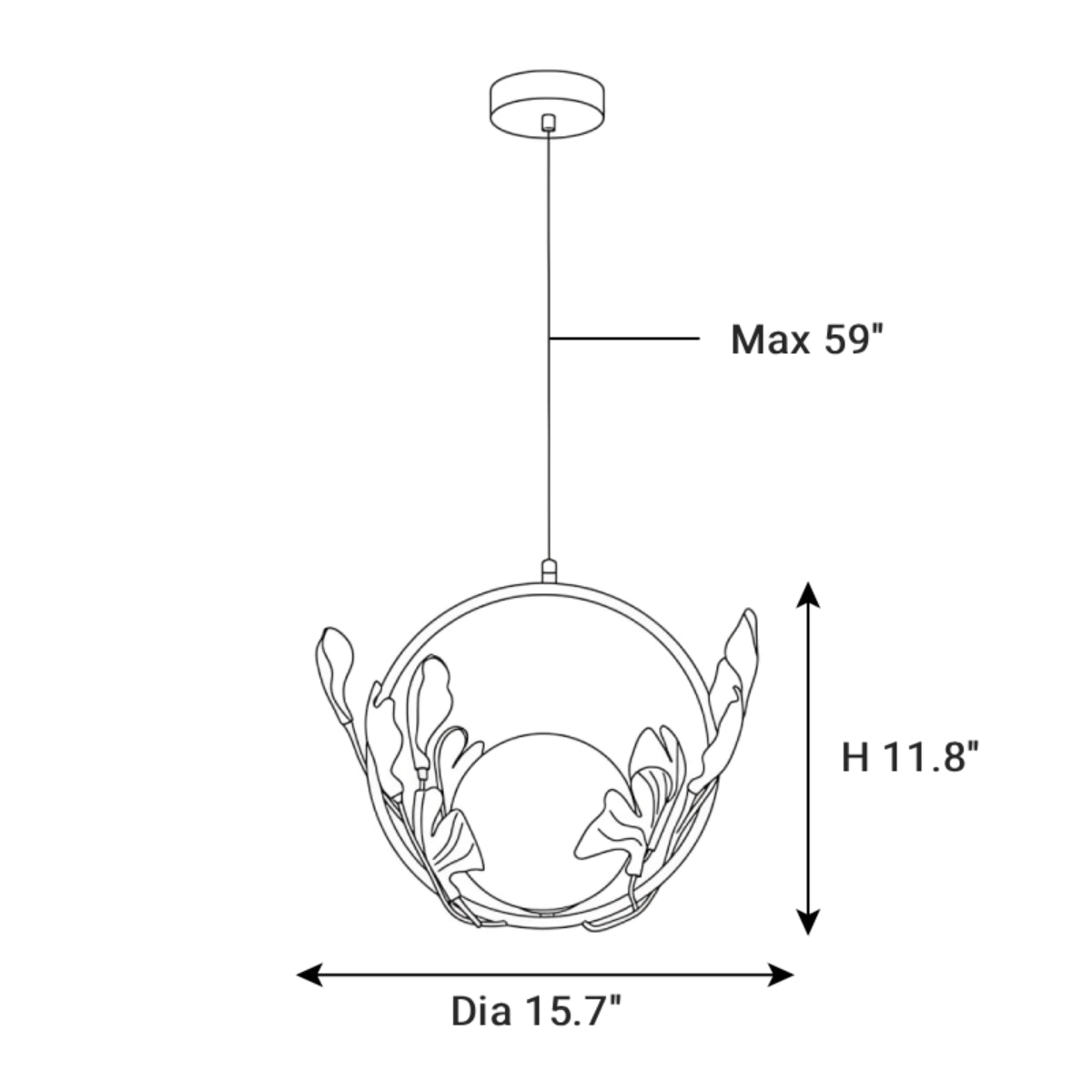 Dimensions