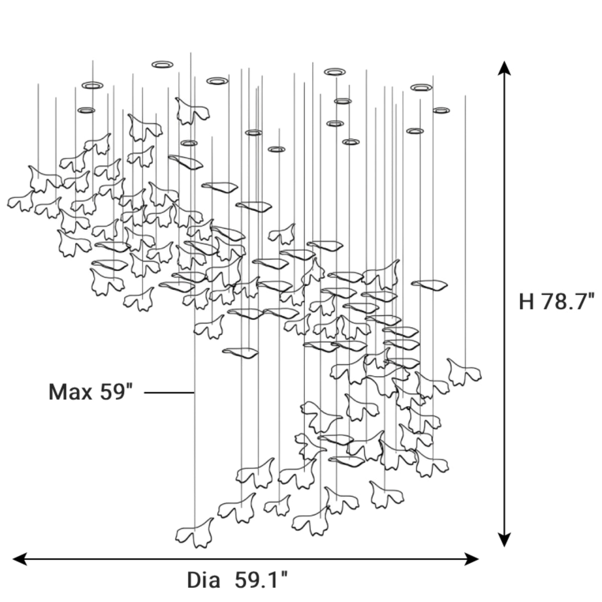 Dimensions