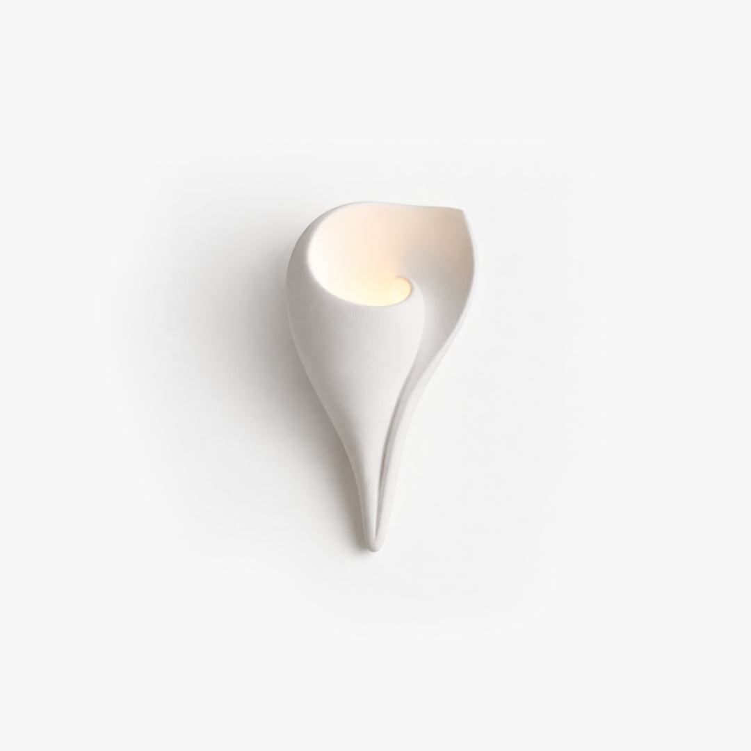Calivelle Conch Plaster Wall Lamp 5