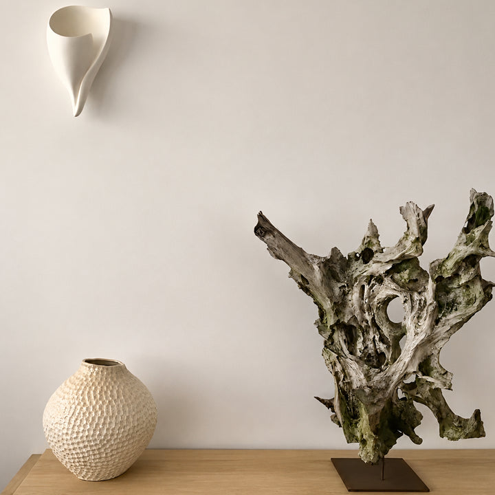 Calivelle Conch Plaster Wall Lamp 7