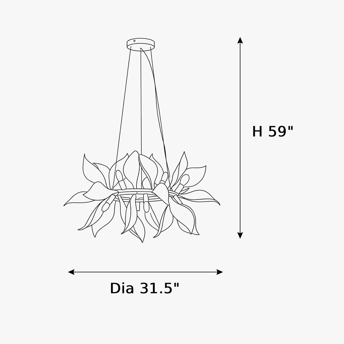Dimensions