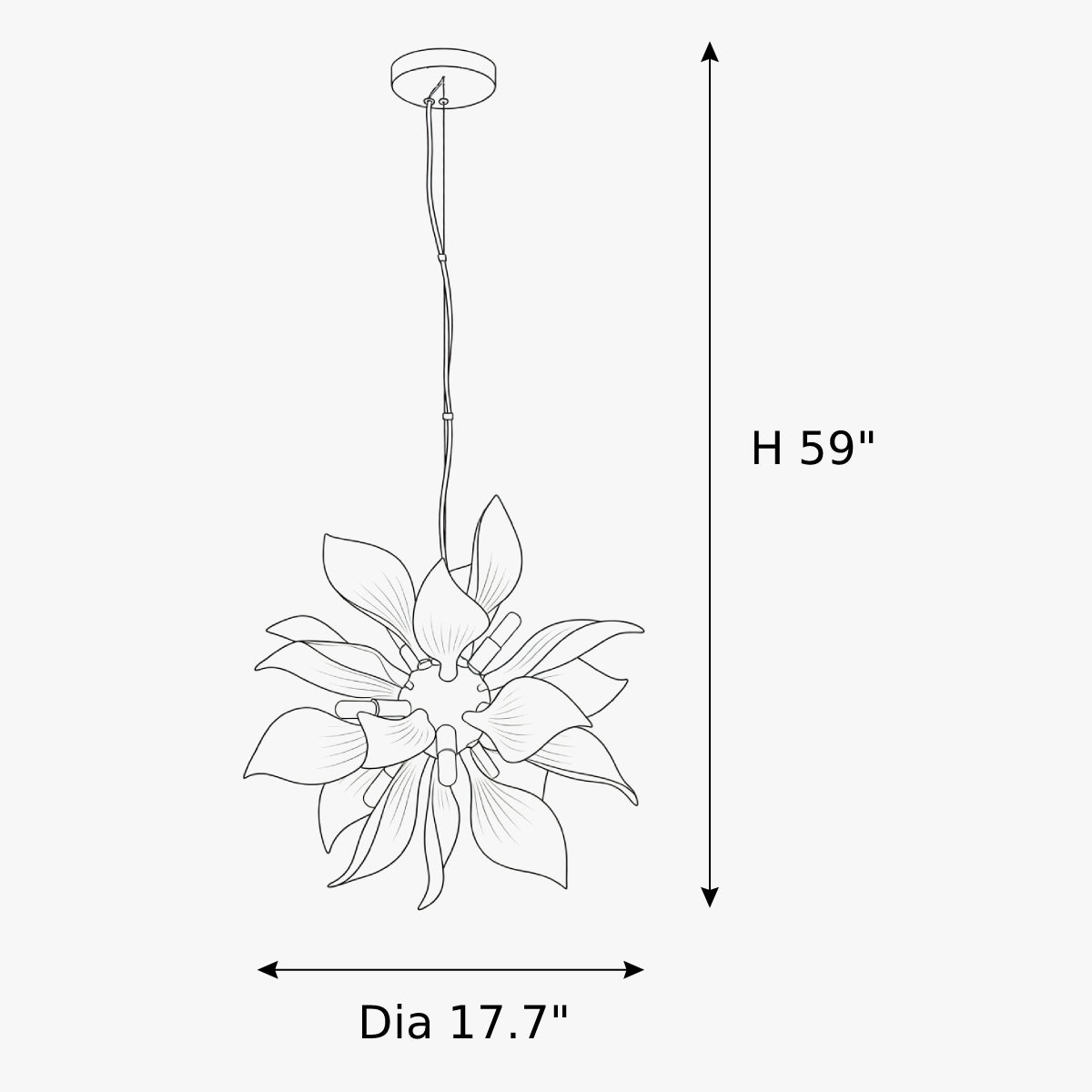 Dimensions