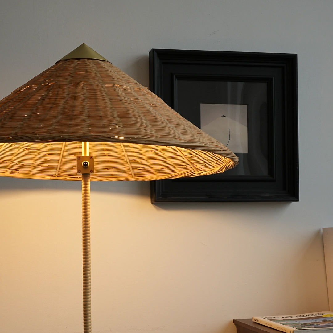 Douli 9602 Floor Lamp