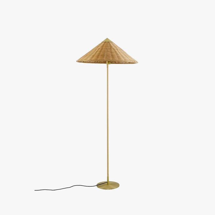 Douli 9602 Floor Lamp