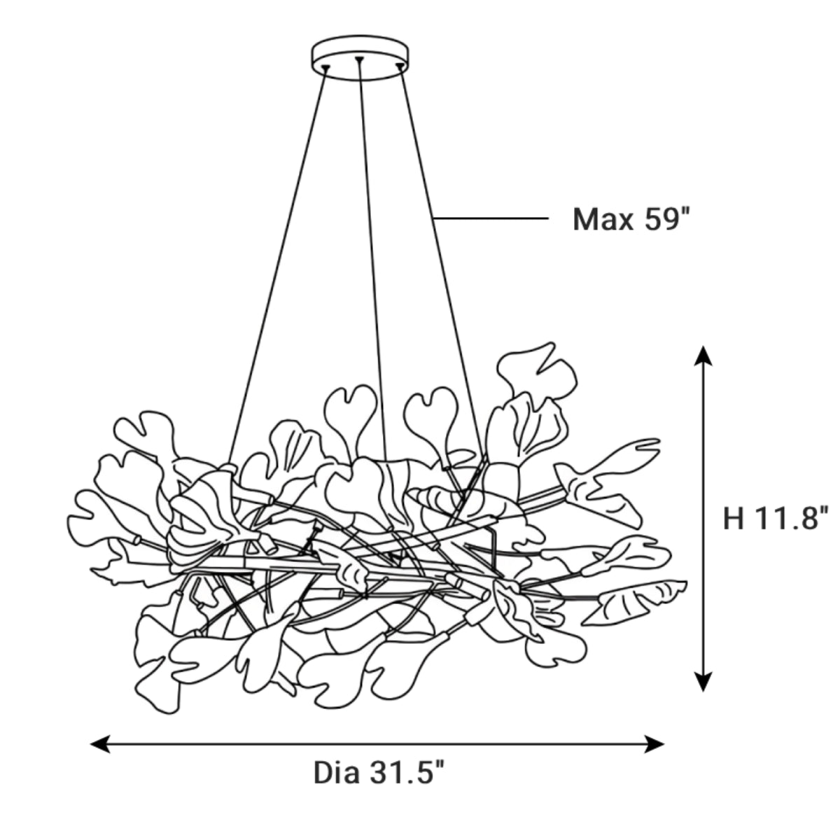 Dimensions