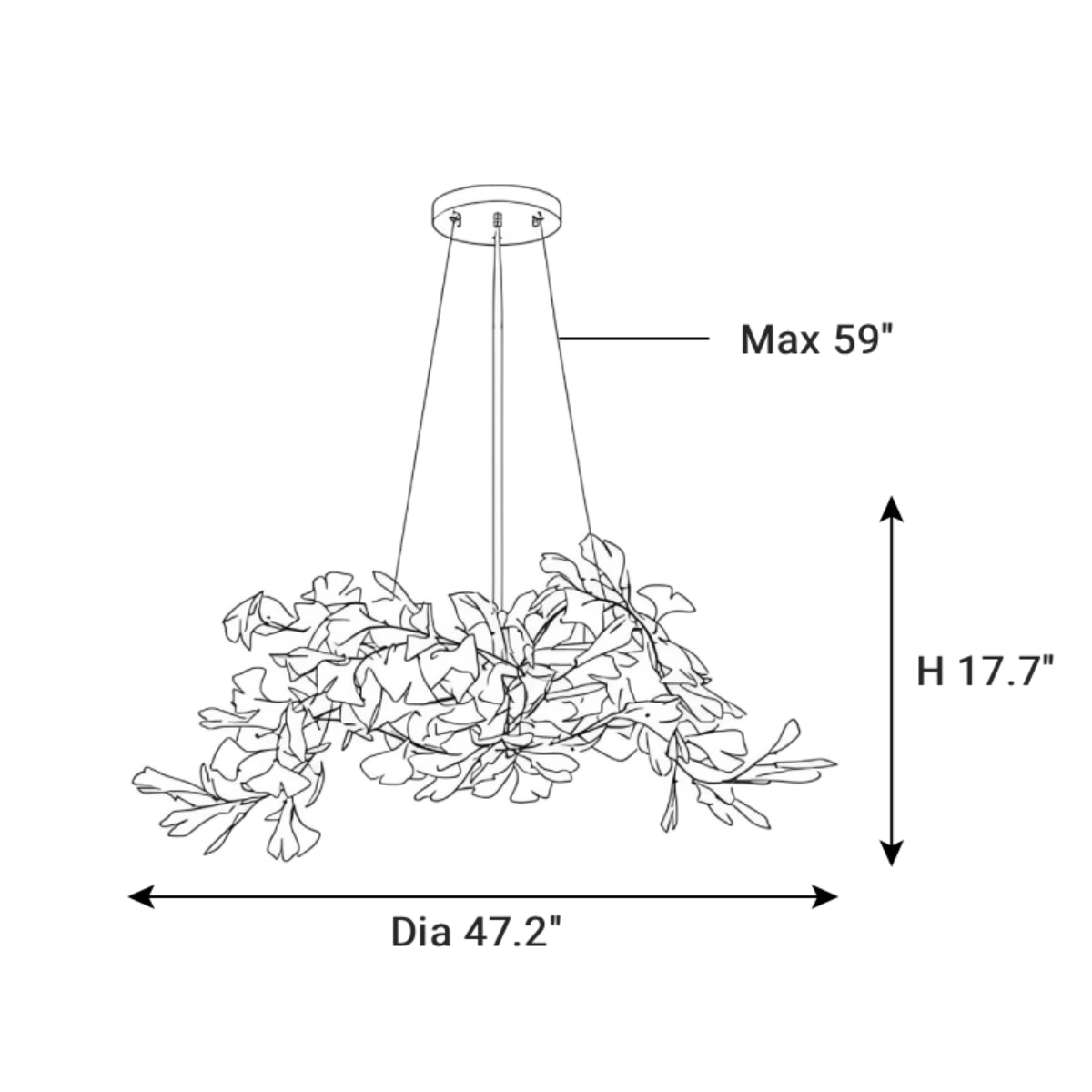 Dimensions