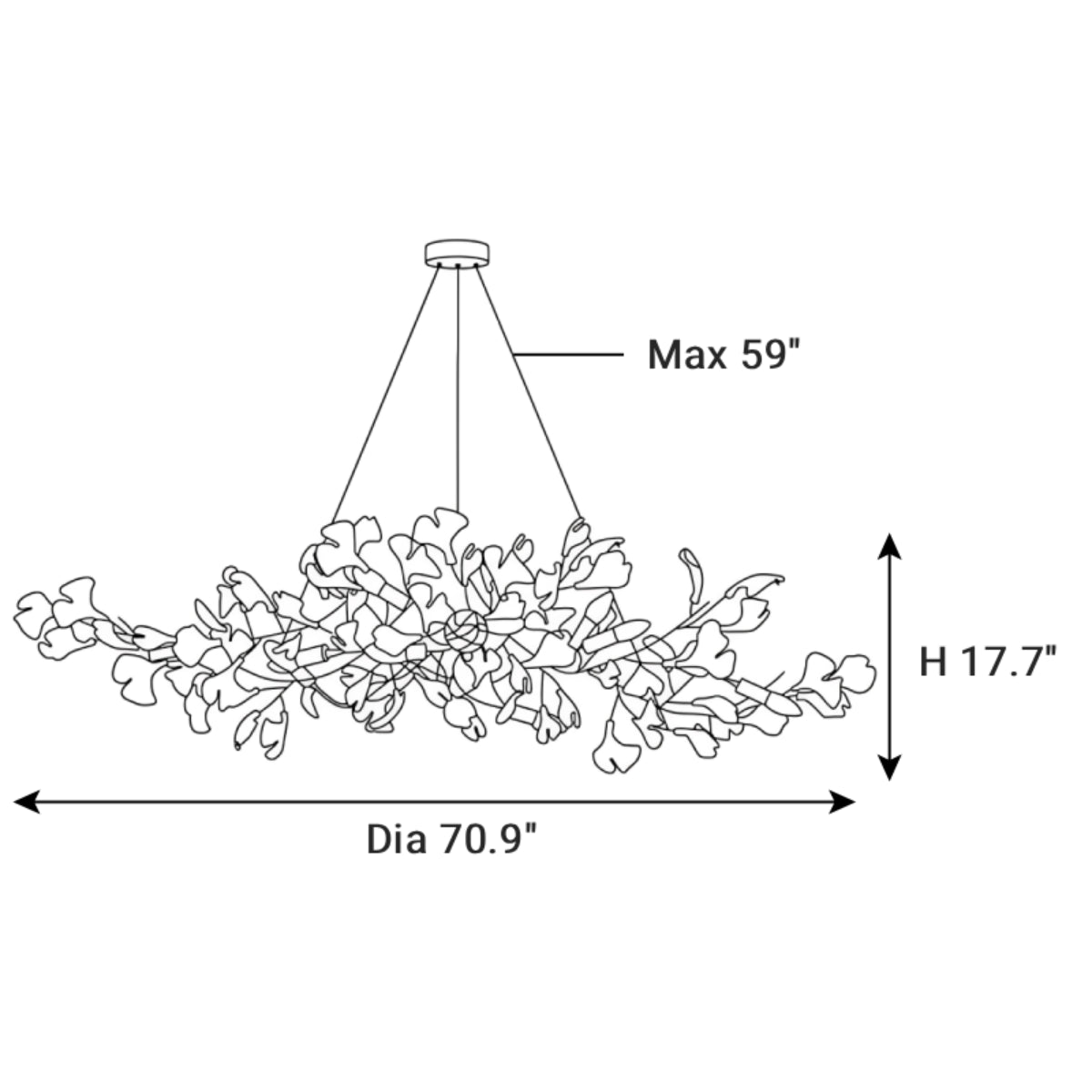Dimensions