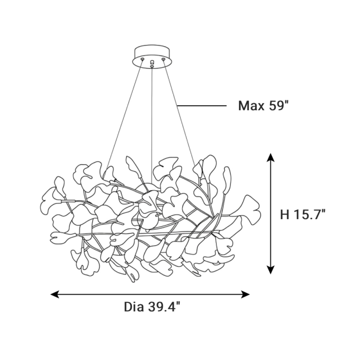 Dimensions