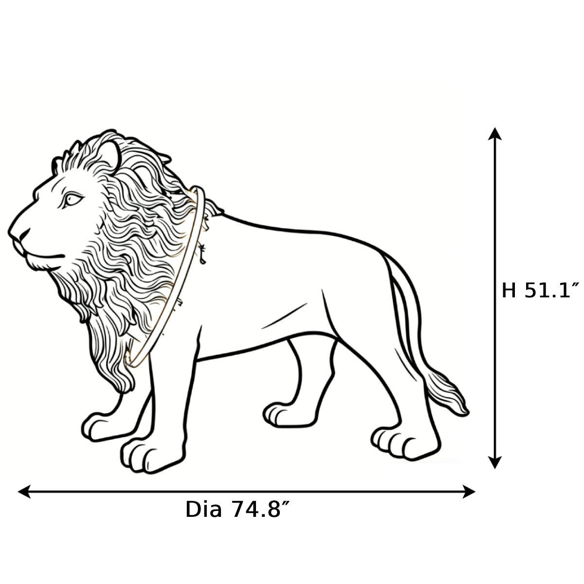 Dimensions