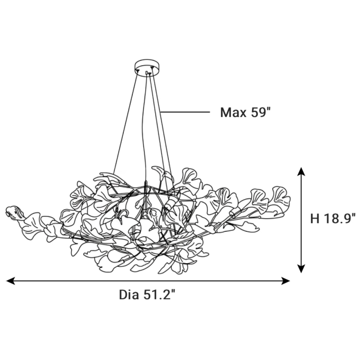 Dimensions