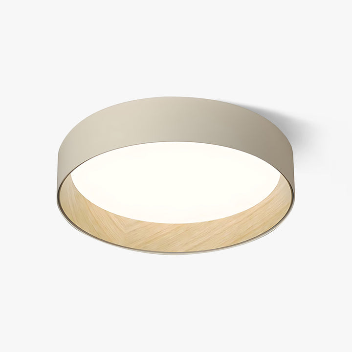 Taaks Minimalist Ceiling Lamp