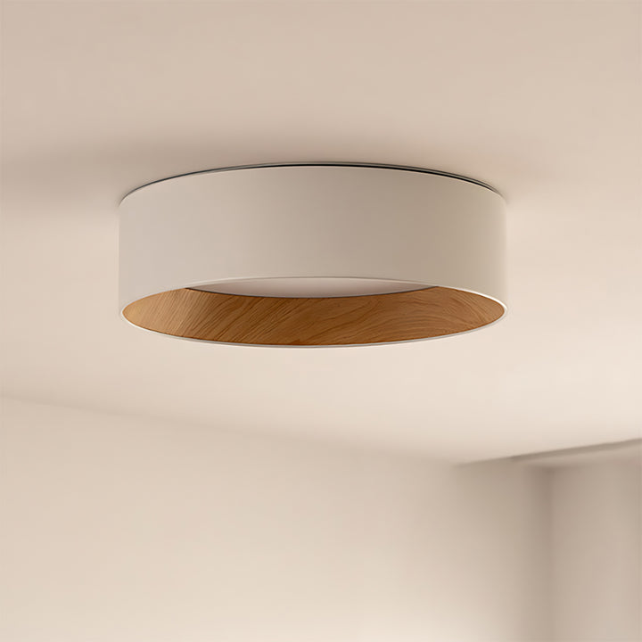 Taaks Minimalist Ceiling Lamp
