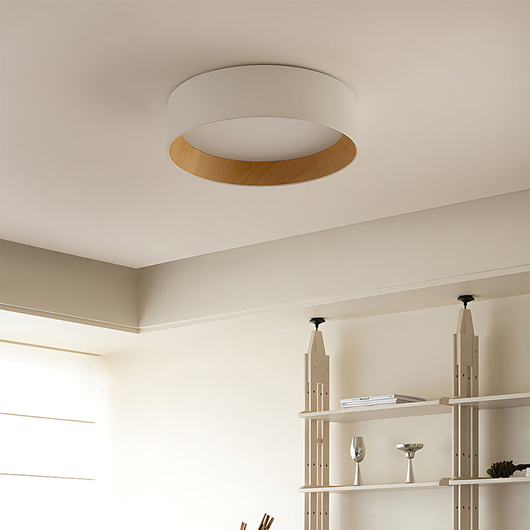 Taaks Minimalist Ceiling Lamp
