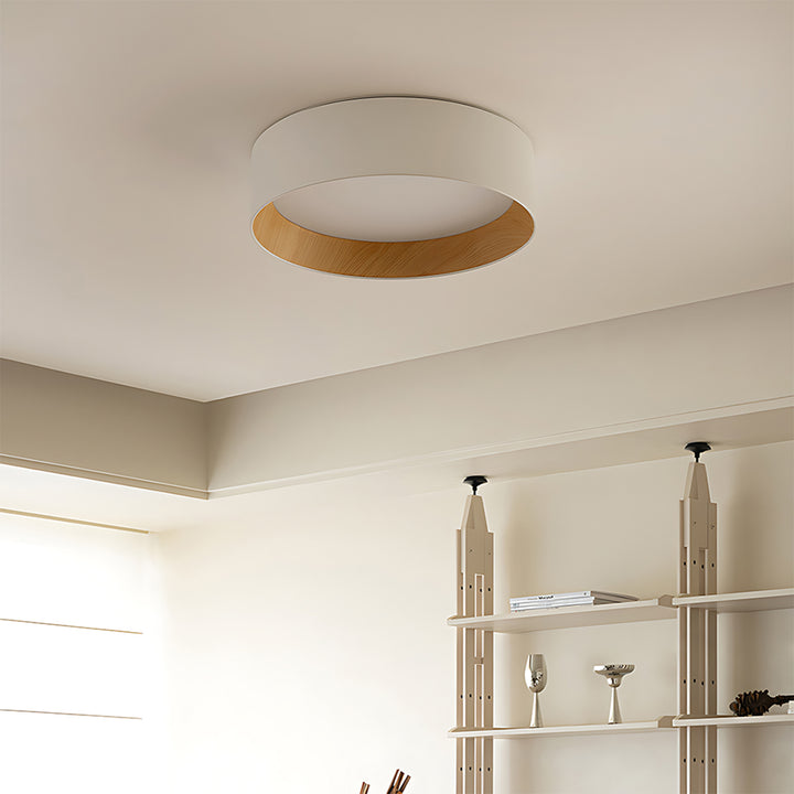 Taaks Minimalist Ceiling Lamp
