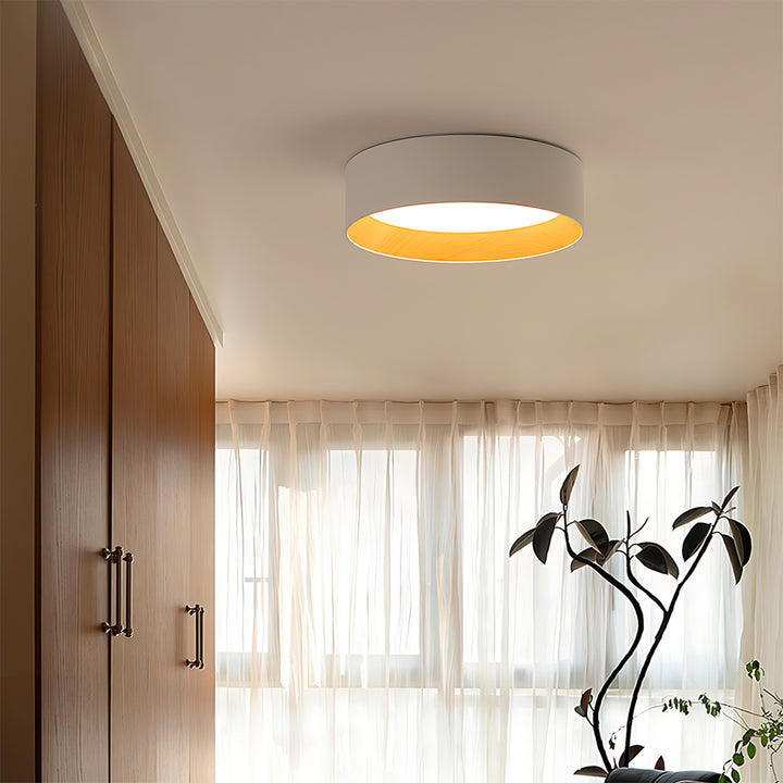 Taaks Minimalist Ceiling Lamp