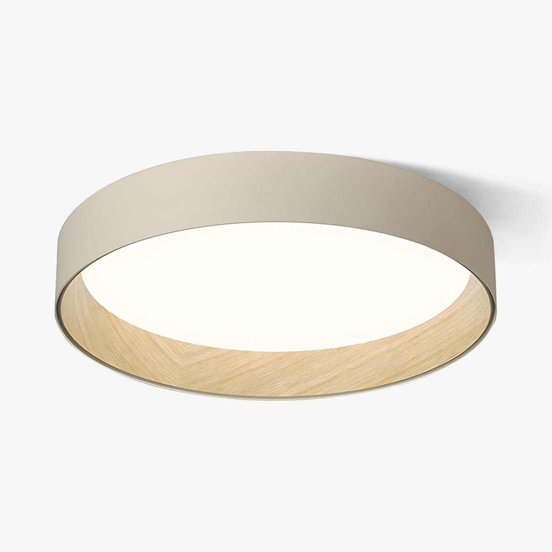 Taaks Minimalist Ceiling Lamp