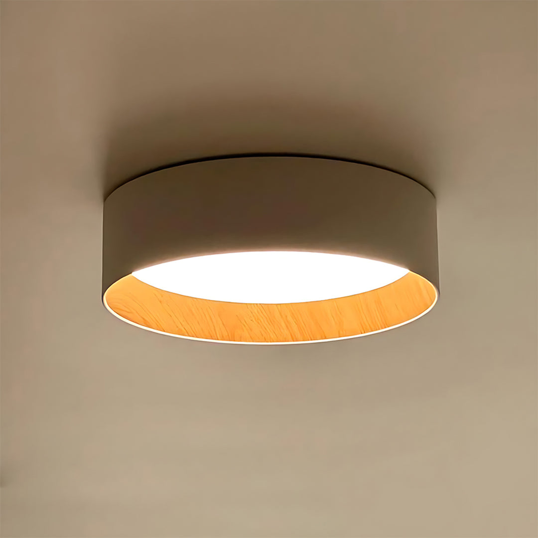 Taaks Minimalist Ceiling Lamp