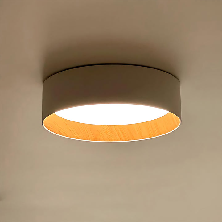 Taaks Minimalist Ceiling Lamp