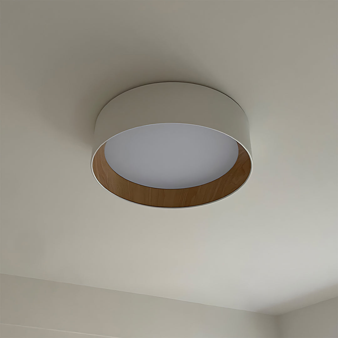 Taaks Minimalist Ceiling Lamp