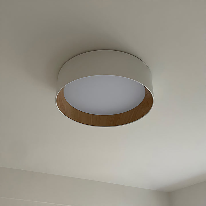 Taaks Minimalist Ceiling Lamp