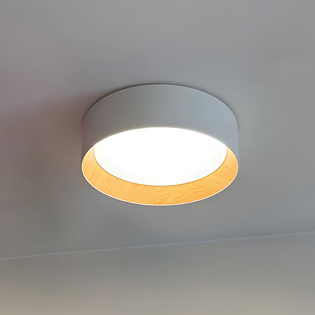 Taaks Minimalist Ceiling Lamp