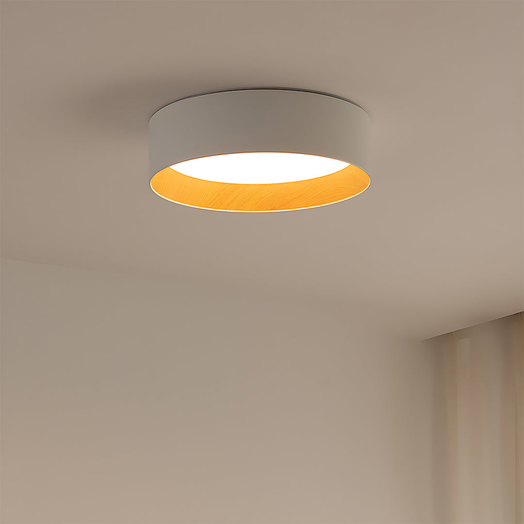 Taaks Minimalist Ceiling Lamp