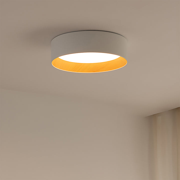 Taaks Minimalist Ceiling Lamp