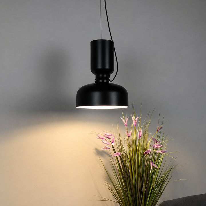 Tavoryn Dome Pendant Light 10