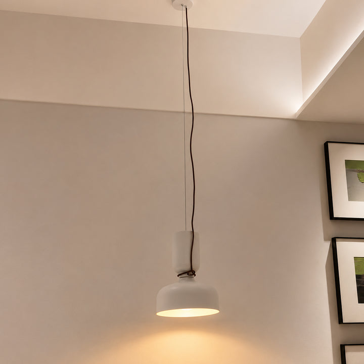 Tavoryn Dome Pendant Light 13