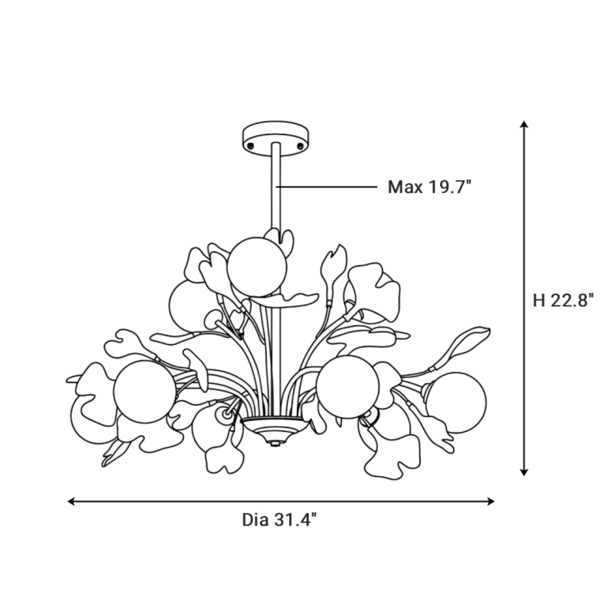 Dimensions