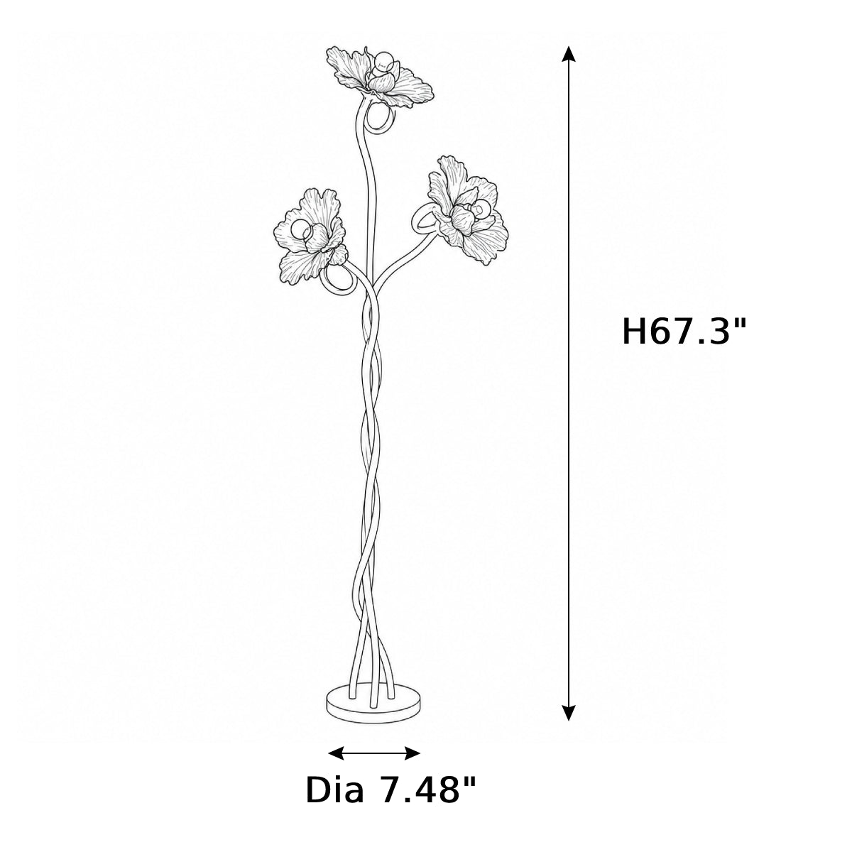 Dimensions